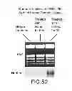 Fig. 55 - Isolated eIF-5A and Polynucleotides Encoding Same