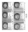 Fig. 75 - Isolated eIF-5A and Polynucleotides Encoding Same