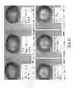 Fig. 77 - Isolated eIF-5A and Polynucleotides Encoding Same