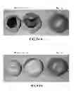 Fig. 87 - Isolated eIF-5A and Polynucleotides Encoding Same
