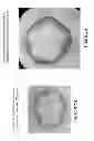 Fig. 94 - Isolated eIF-5A and Polynucleotides Encoding Same