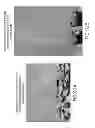 Fig. 96 - Isolated eIF-5A and Polynucleotides Encoding Same