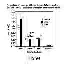 Fig. 98 - Isolated eIF-5A and Polynucleotides Encoding Same
