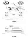 Fig. 115 - Plants having enhanced yield-related traits and a method for making the same