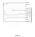 Fig. 151 - Plants having enhanced yield-related traits and a method for making the same