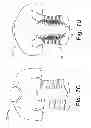 Fig. 14 - Articles of apparel providing enhanced body position feedback