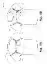 Fig. 15 - Articles of apparel providing enhanced body position feedback