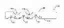 Fig. 01 - Nail gauge measuring nail shape and nail arc length
