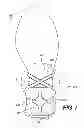Fig. 07 - Article of footwear having adjustable sole structure