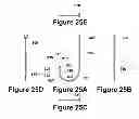 Fig. 17 - Fish hook with bait and fish retention features