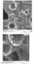 Fig. 01 - Abrasive articles and method of forming same