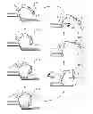 Fig. 01 - Shovel and method of controlling shovel