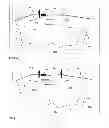 Fig. 07 - PARALLEL CYCLE FOR TIDAL RANGE POWER GENERATION