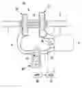 Fig. 01 - Turbo-charger system