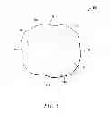 Fig. 09 - Deciduous teeth matrix jewelry and method of manufacture