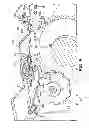 Fig. 08 - Neutral locking system and tool for vehicle
