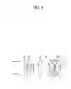 Fig. 02 - Muzzle velocity measuring apparatus and method