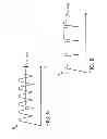 Fig. 06 - Device for feeding a fluid to a vessel to be filled