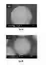 Fig. 06 - Sonication for improved particle size distribution of core-shell particles