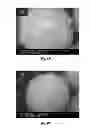 Fig. 07 - Sonication for improved particle size distribution of core-shell particles