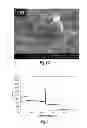 Fig. 08 - Sonication for improved particle size distribution of core-shell particles