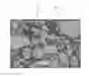 Fig. 01 - LOWER MELTING POINT BINDER METALS