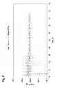 Fig. 15 - ELECTRONIC SCALE