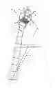 Fig. 01 - Hunting equipment