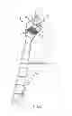 Fig. 02 - Hunting equipment