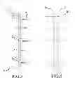 Fig. 06 - Hunting equipment