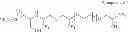 Fig. 44 - Polyamide water-treatment separation membrane with improved antifouling properties and manufacturing method thereof