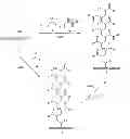 Fig. 01 - GRAFT COPOLYMER FOR CATION-EXCHANGE CHROMATOGRAPHY