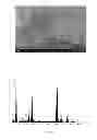 Fig. 10 - Photocatalytic Composition for Water Purification