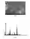 Fig. 11 - Photocatalytic Composition for Water Purification