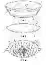 Fig. 02 - Food storage insert