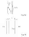 Fig. 09 - System and method for protecting a machine readable card