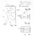 Fig. 12 - System and method for protecting a machine readable card