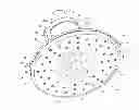 Fig. 01 - Shower and speaker assembly