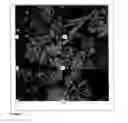 Fig. 08 - Integrated method to analyze crystals in deposits
