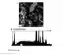 Fig. 09 - Integrated method to analyze crystals in deposits