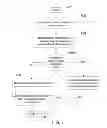 Fig. 06 - Process for performing automated mineralogy