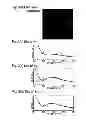 Fig. 04 - Negative electrode active material for nonaqueous electrolyte secondary batteries