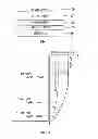 Fig. 02 - Nitride semiconductor light emitting device and fabrication method thereof