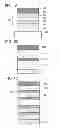 Fig. 02 - Light-Emitting Element, Light-Emitting Device, Electronic Appliance, and Lighting Device