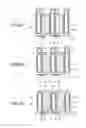 Fig. 06 - SEMICONDUCTOR DEVICE AND MANUFACTURING METHOD THEREOF