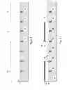 Fig. 02 - Semiconductor structures and methods of forming the same