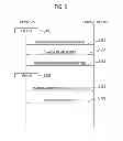 Fig. 06 - Power management system and management method