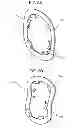 Fig. 07 - Electric motor with ball bearing assembly for rotary shaft