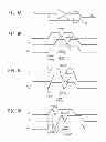 Fig. 02 - Electric circuit and semiconductor device