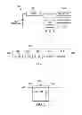 Fig. 02 - Time gain compensation